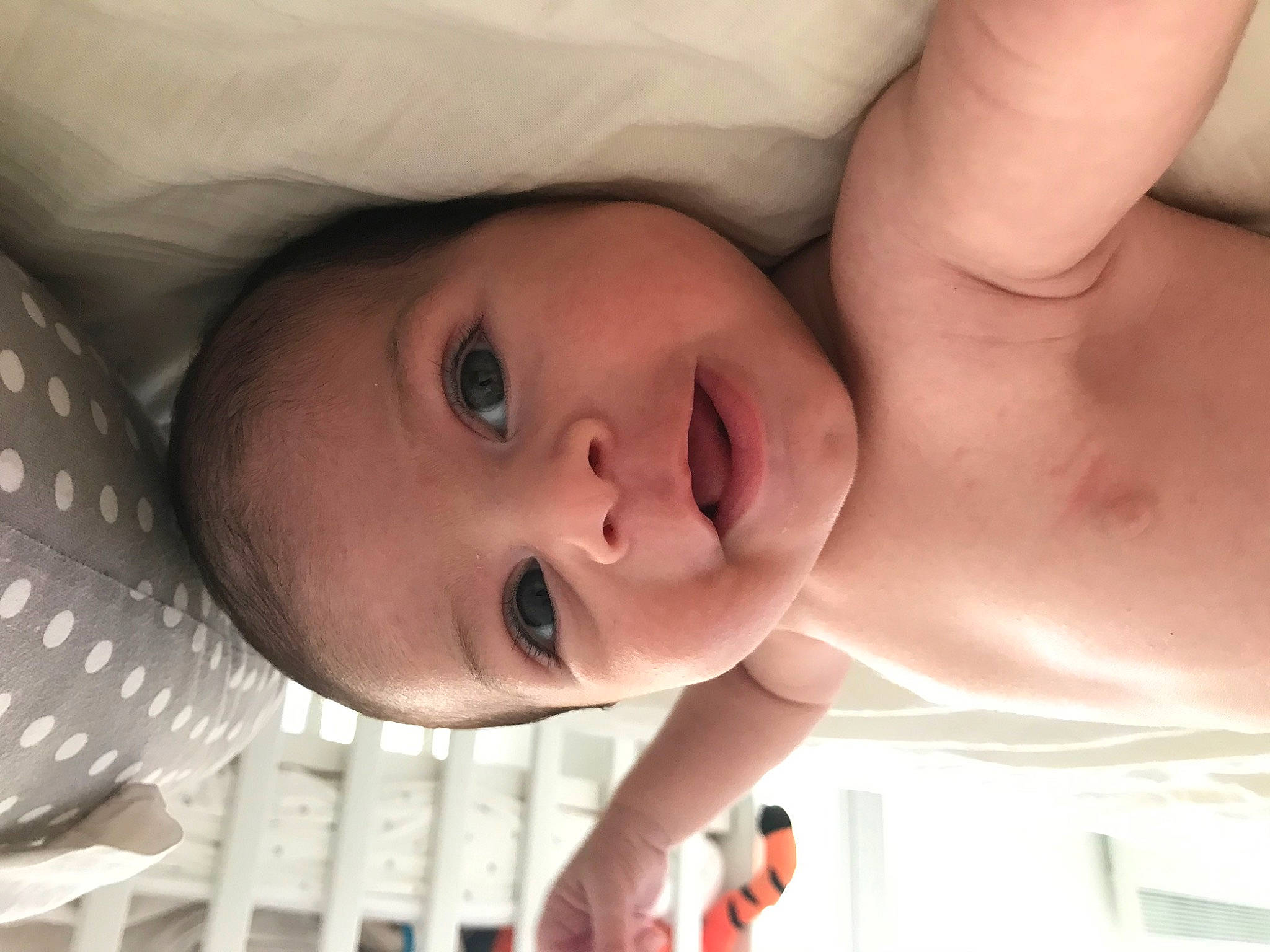 Charles participe au concours pour gagner de l'argent avec cette photo : baby, beauty, cheek, child, chin, close_up, eye, face, facial_expression, finger, forehead, head, lip, mouth, nose, organ, person, product, skin, smile