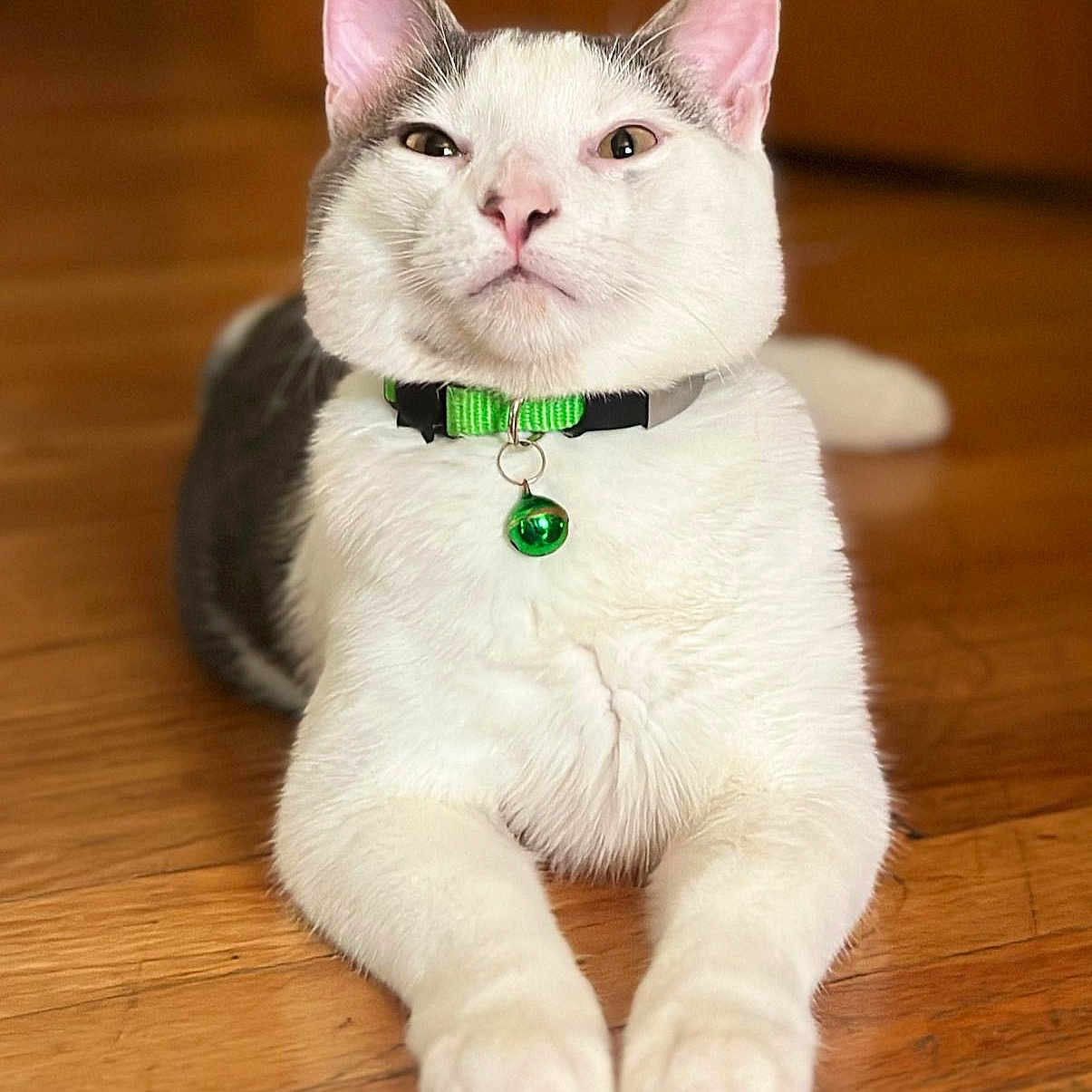 Sultan