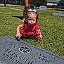 toddler, child, gravestone, cemetery, grass, toy, adult_legs, sunlight, daytime, outdoor, curly_hair, red_clothing, shoes, trees, fence, house, blue_sky, shadow, portrait, serious_expression