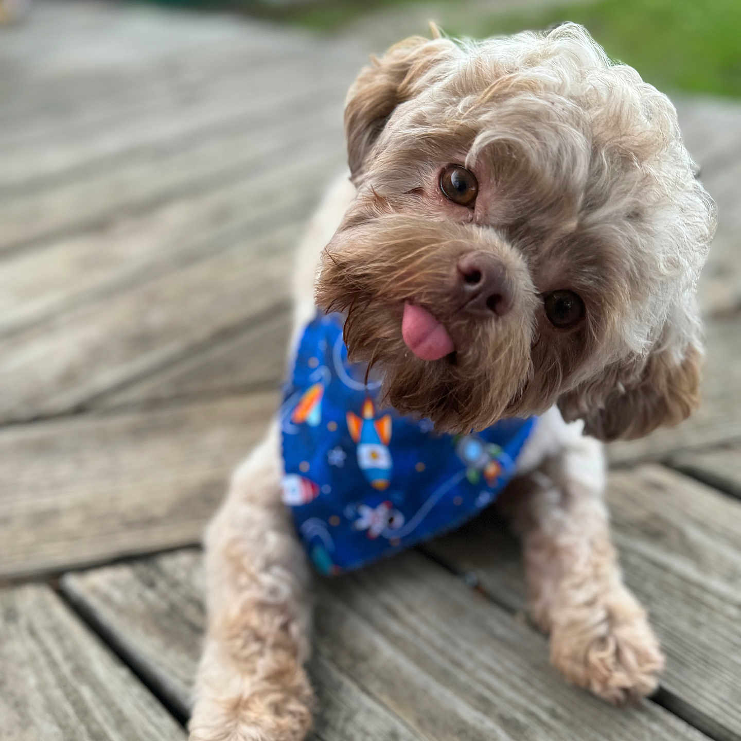 Buster