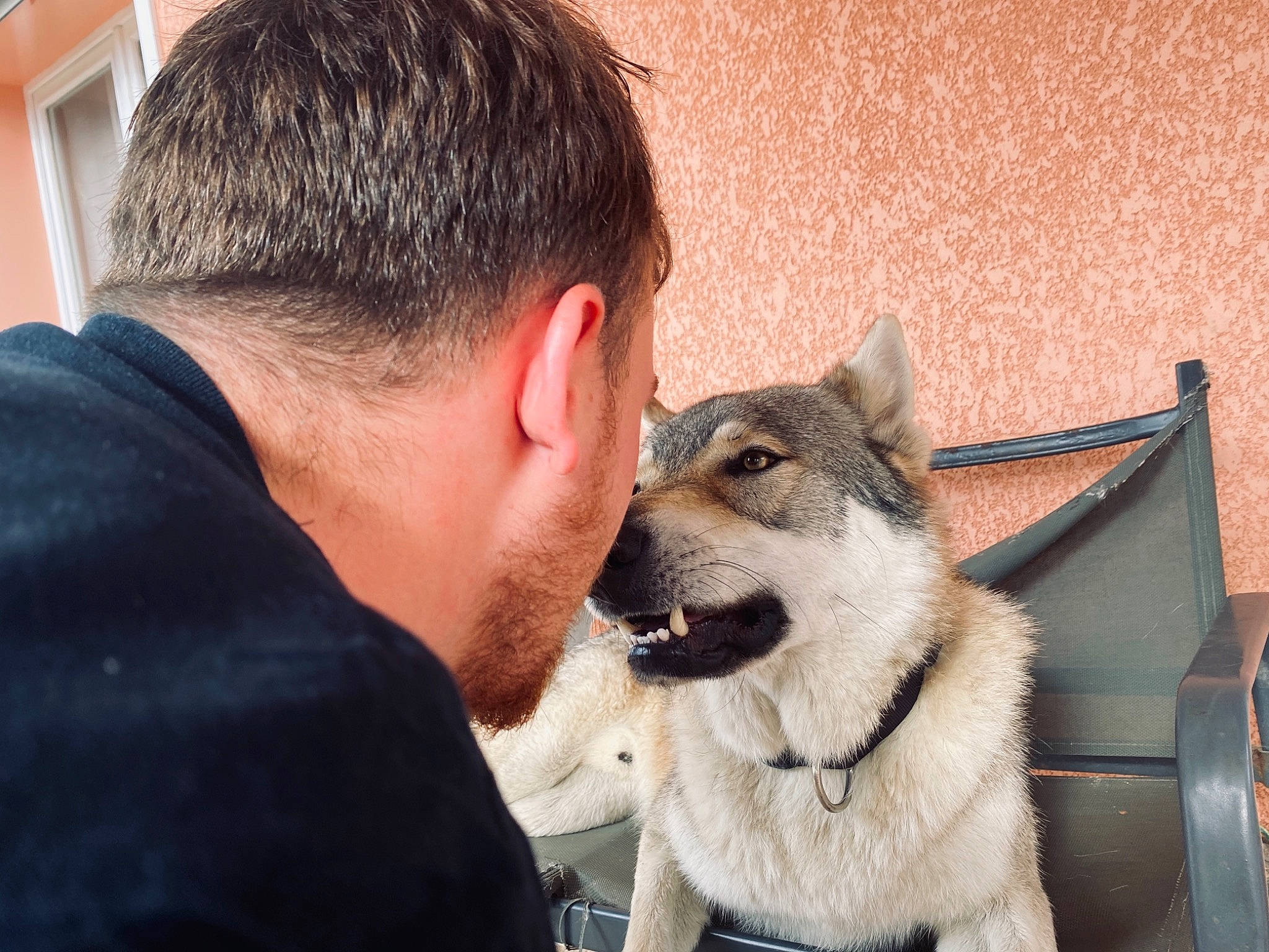 Sven participe au concours pour gagner de l'argent avec cette photo : beard, canidae, carnivore, collar, companion_dog, dog, dog_breed, ear, eyelash, facial_hair, fawn, felidae, fur, small_to_medium_sized_cats, snout, sporting_group, terrestrial_animal, whiskers, wildlife, wildlife_biologist