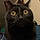 Salem
