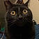 Salem