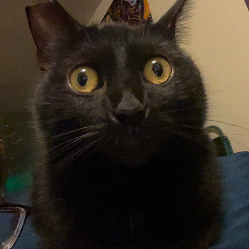 Salem