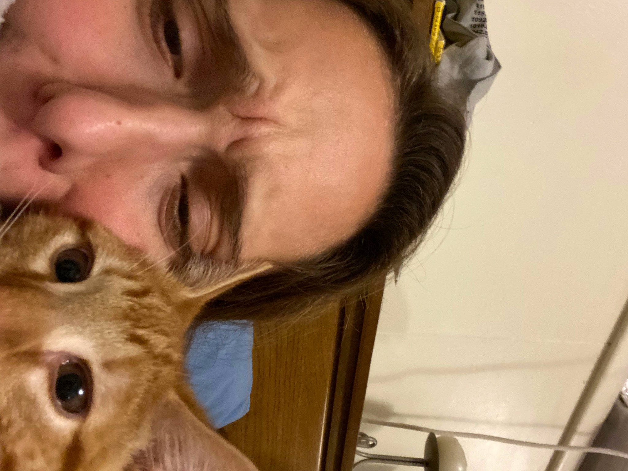 Colby Jack is registered to the contest to win money with this photo: beard, cheek, companion_dog, ear, eyelash, facial_hair, fun, gesture, happy, human_body, iris, jaw, lip, mouth, nose, selfie, skin, snout, whiskers, wood