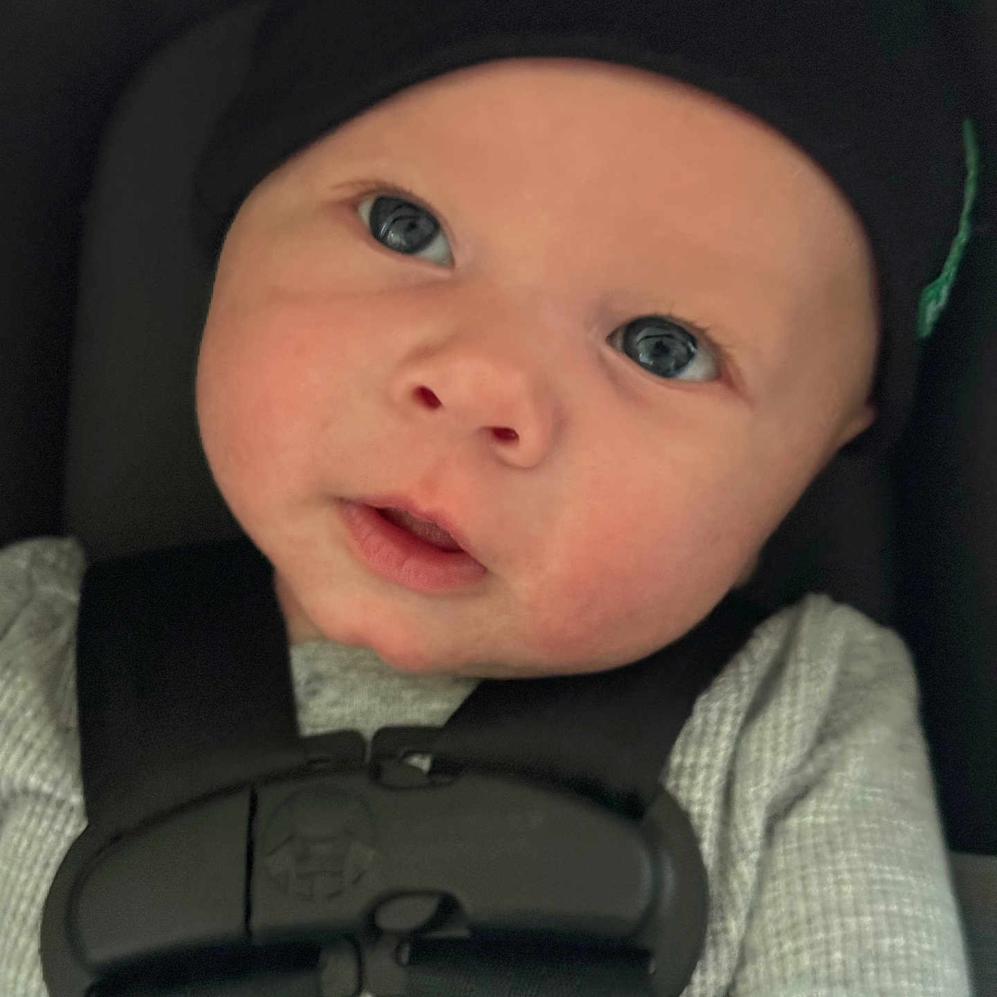 Bronx is registered to the contest to win money with this photo: accessories, baby, baseballcap, belt, bonnet, cap, car, clothing, coat, cushion, face, gun, hat, head, homedecor, person, photography, portrait, seatbelt, weapon