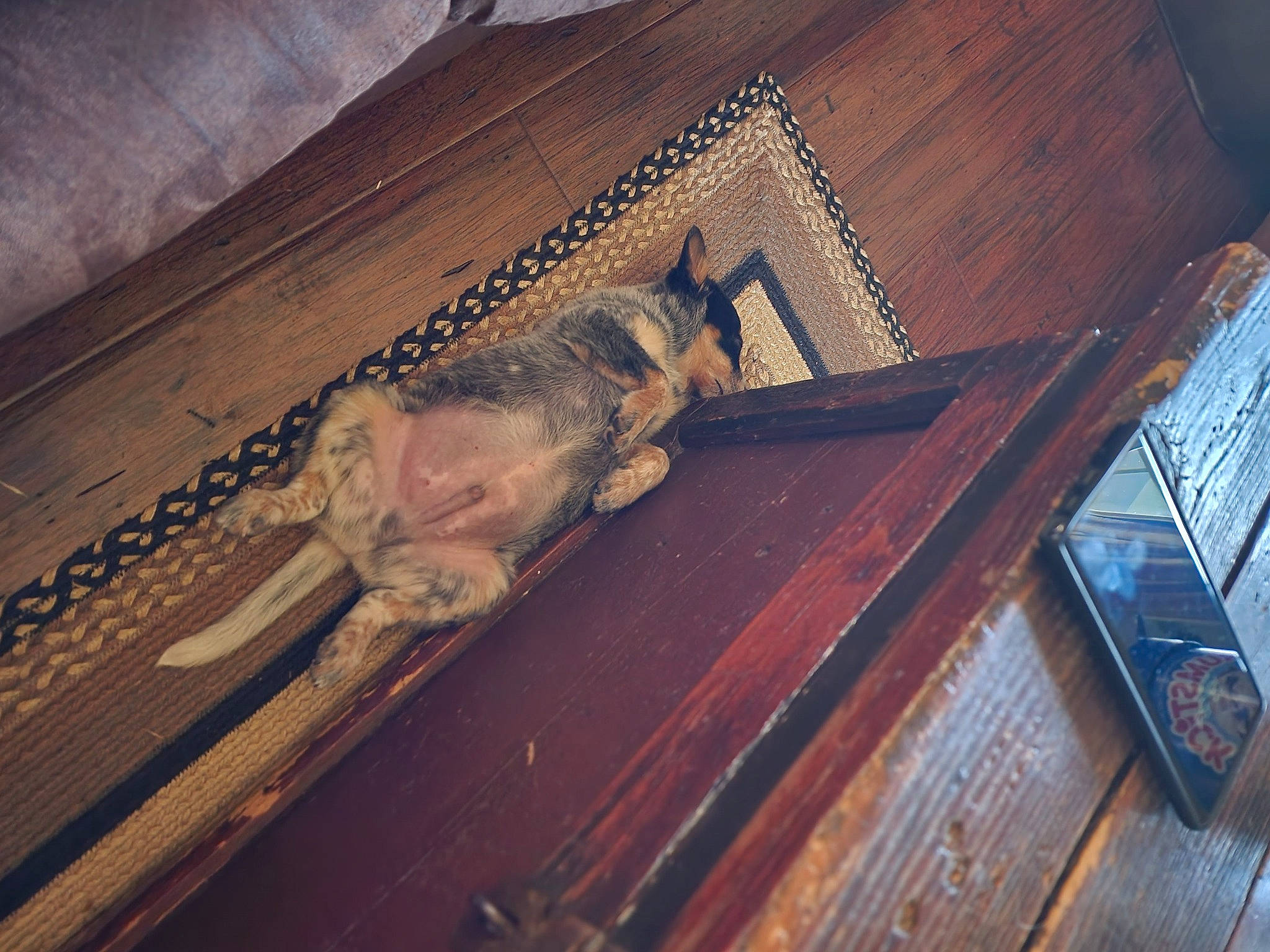 Hawkeye is registered to the contest to win money with this photo: art, artifact, carving, ceiling, flooring, hardwood, metal, plank, plywood, relief, religious_item, roof, room, sculpture, statue, tints_and_shades, varnish, visual_arts, wood, wood_stain