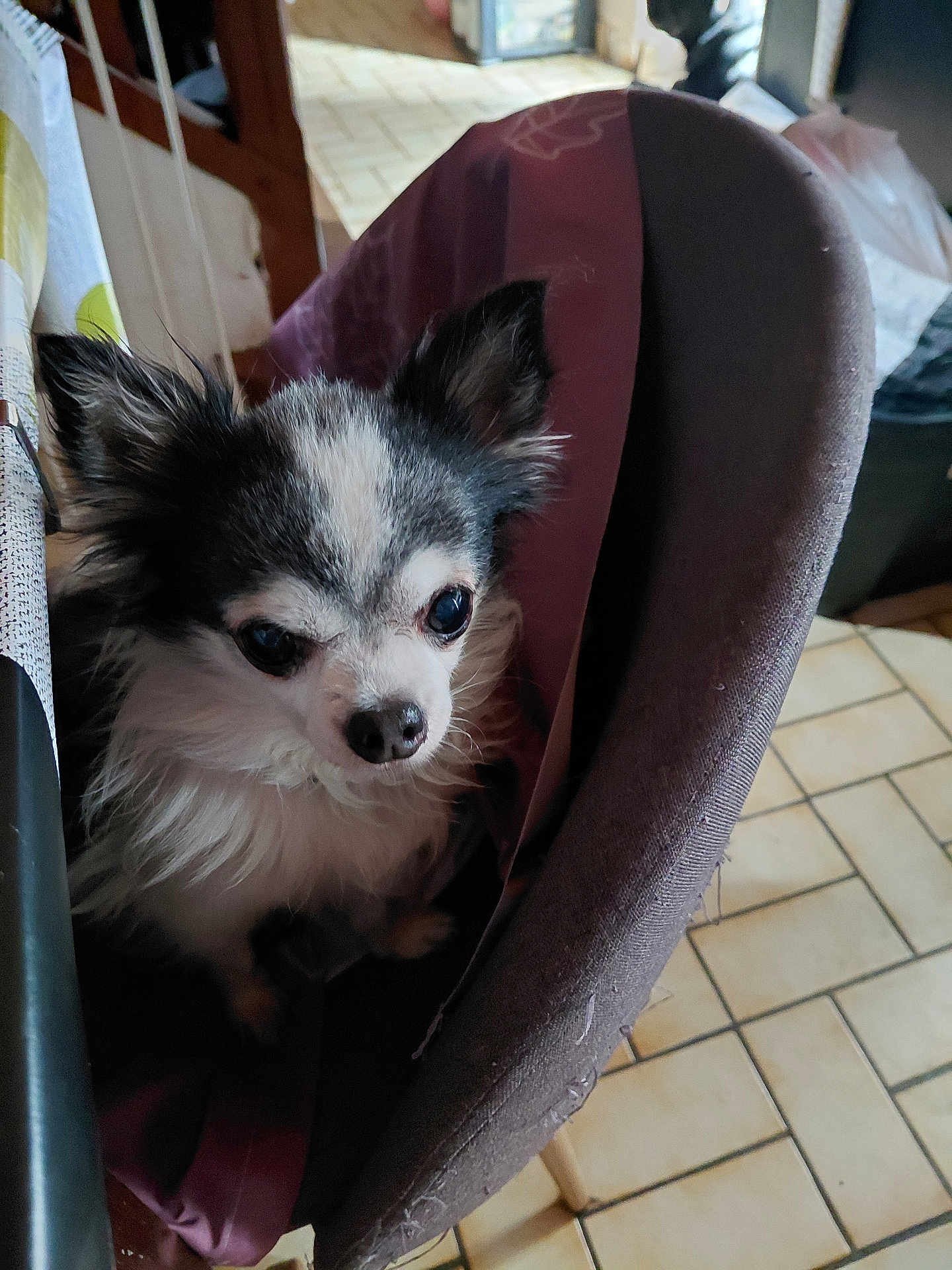 Billy