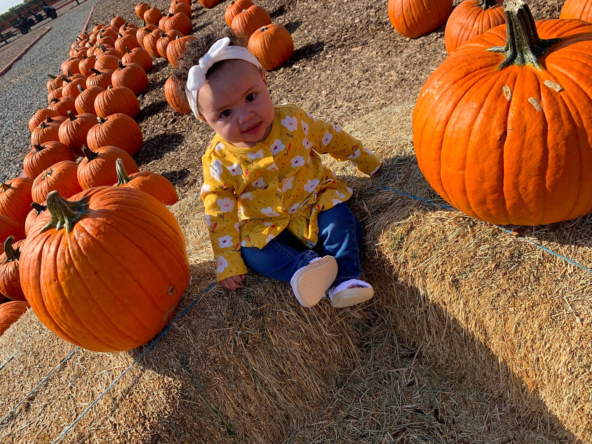 Mariyah is registered to the contest to win money with this photo: _and_melon_family, _gourd, autumn, calabaza, child, cucumber, cucurbita, food, fruit, gourd, local_food, orange, person, plant, produce, pumpkin, squash, toddler, tradition, vegetable