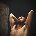 Alexandre A. T.