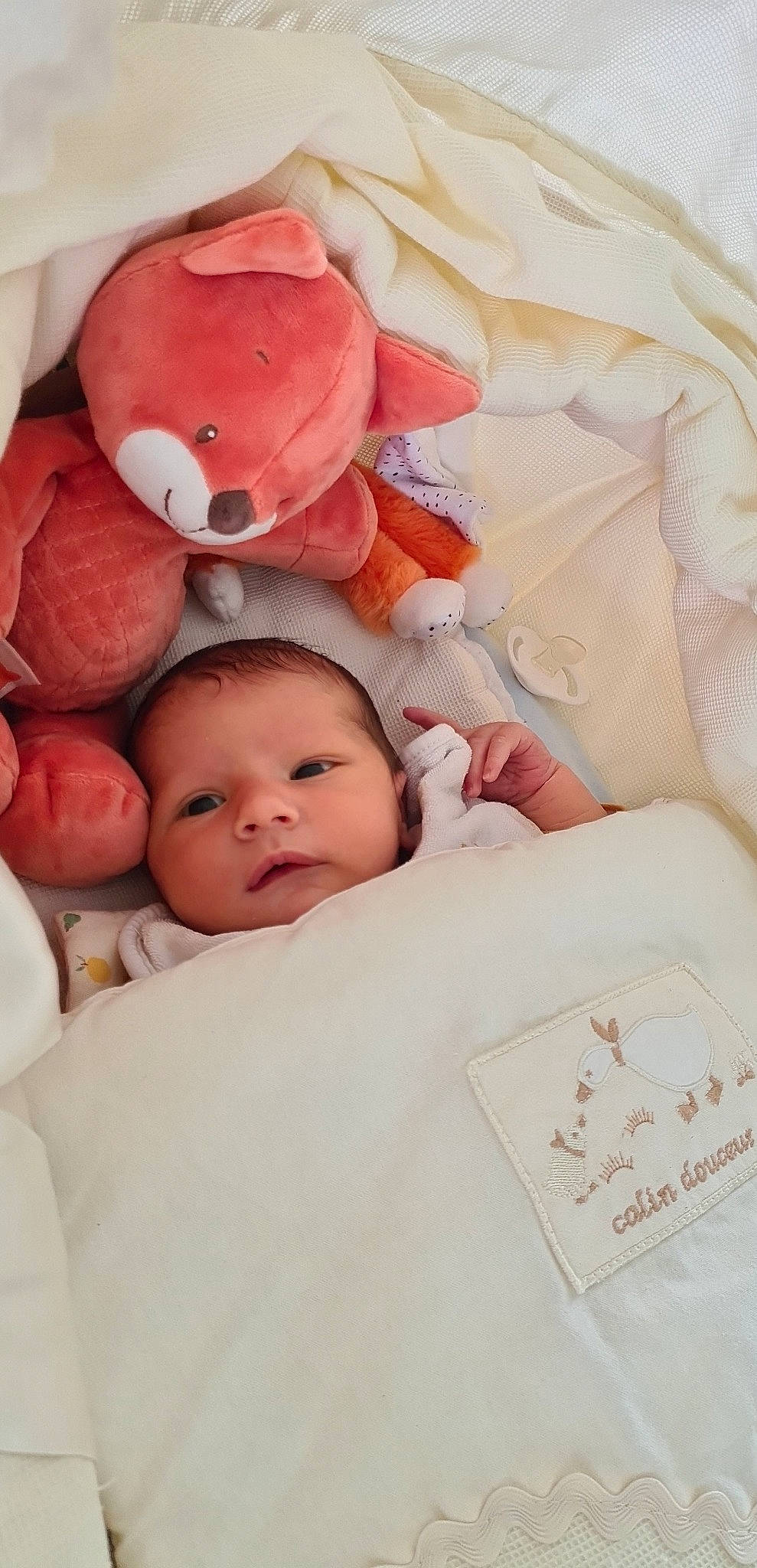 Miguel participe au concours pour gagner de l'argent avec cette photo : baby, baby_products, baby_sleeping, baby_toddler_clothing, bed, bed_sheet, bedding, bedtime, cheek, child, comfort, fur, happy, linens, person, pink, room, skin, textile, toddler