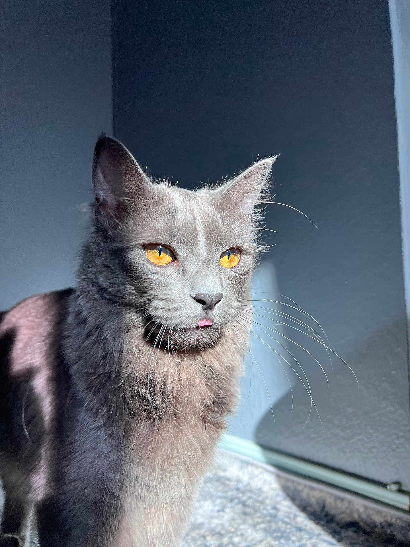 Luna