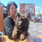 Saphir participe au concours pour gagner de l'argent avec cette photo : woman, puppy, dog, outdoor, cafe, table, sunny, daytime, people, black_sweater, fur, pet, holding, bench, building, sky, glasses, phone, collar, happy