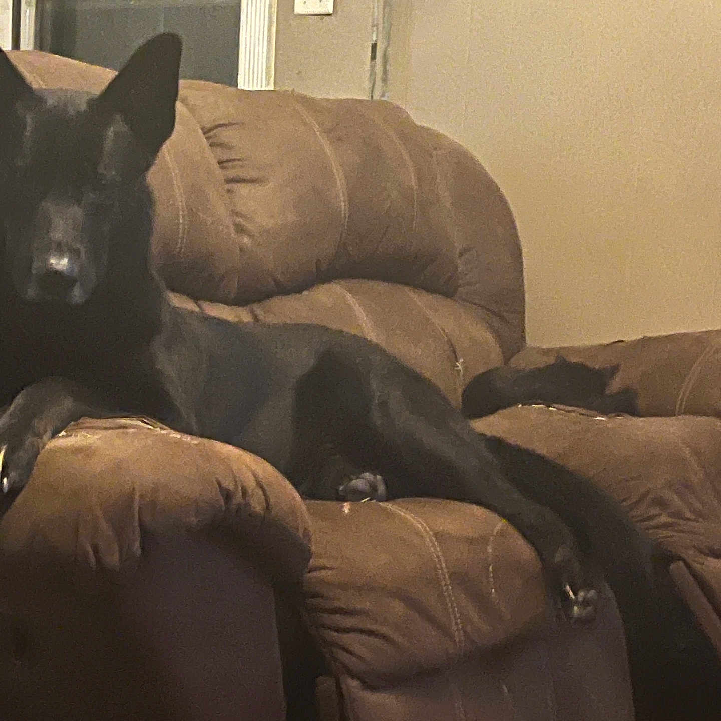 Max