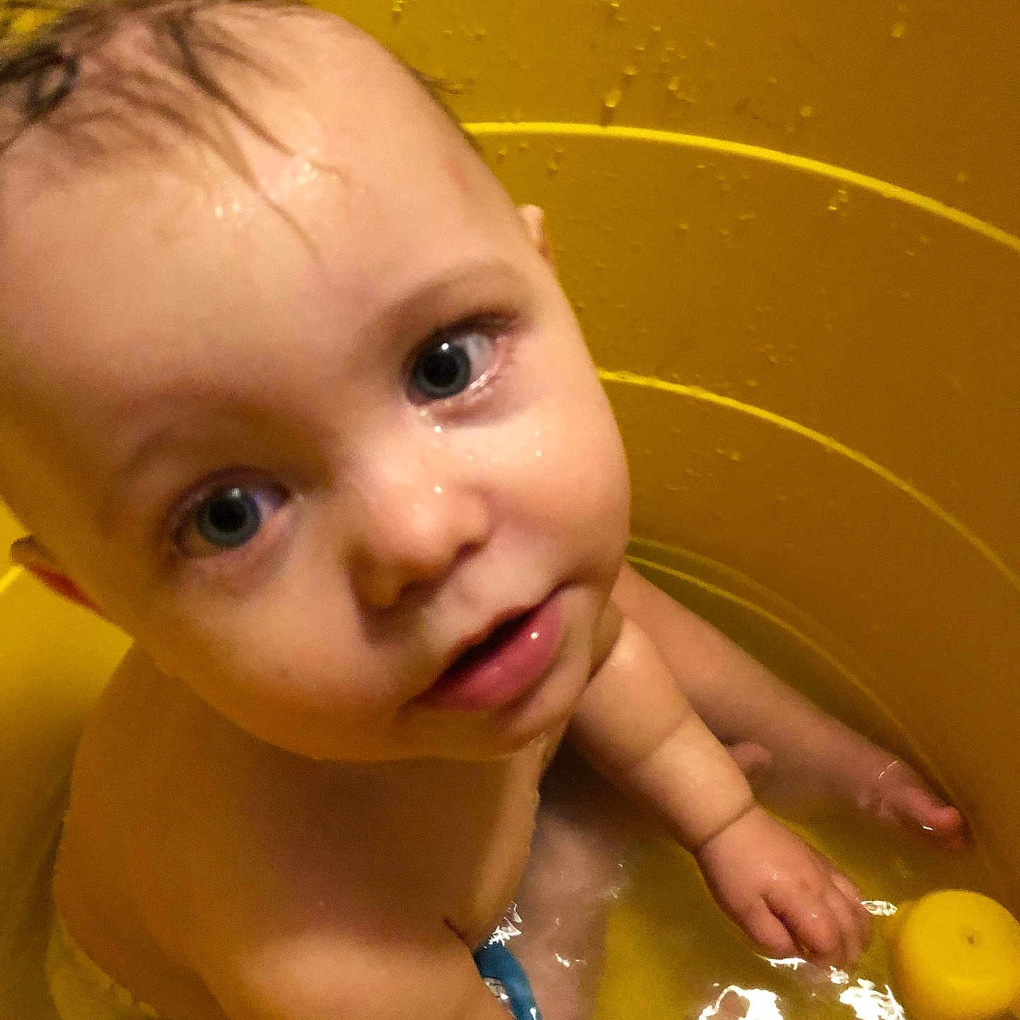 Johnathan is registered to the contest to win money with this photo: baby, bathing, bathtub, bodypart, bucket, face, finger, food, fruit, hand, happy, head, person, photography, plant, portrait, produce, summer, tub, washing