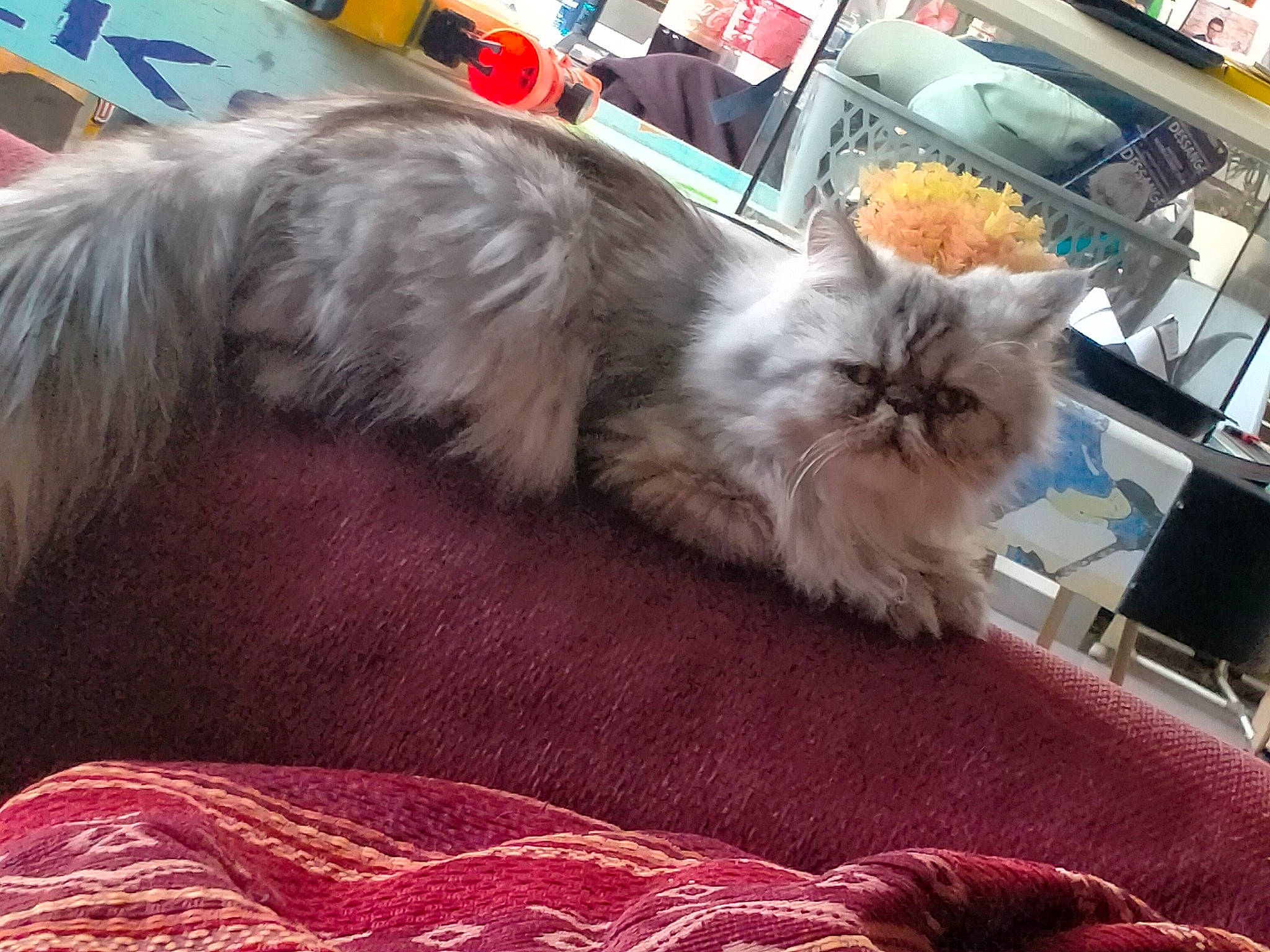 Tigrette