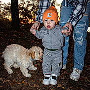 Julien is registered to the contest to win money with this photo: autumn, baby, beanie, casual, child, dog, evening, grass, hands, hoodie, leaves, nature, outdoor, person, pet, plaid_shirt, ripped_jeans, toddler, walking, white_shoes