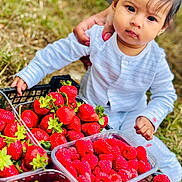 Myra is registered to the contest to win money with this photo: baby, child, fruit, strawberries, raspberries, berries, outdoor, grass, hand, person, food, nature, cute, exploration, colorful, fresh, healthy, summer, closeup, curious