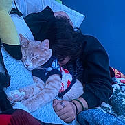 Gohan is registered to the contest to win money with this photo: cat, sleeping_cat, person, cuddling, blanket, pillow, plush_toy, hand, ring, sweater, indoor, cozy, ginger_cat, fur, closed_eyes, resting, bed, wall, bracelet, portrait