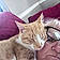Tigger