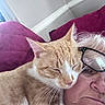 cat, orange_cat, white_cat, pet, animal, sleepy, closed_eyes, whiskers, ears, nose, fur, striped_fur, human, face, glasses, portrait, close_up, bed, pillow, indoors