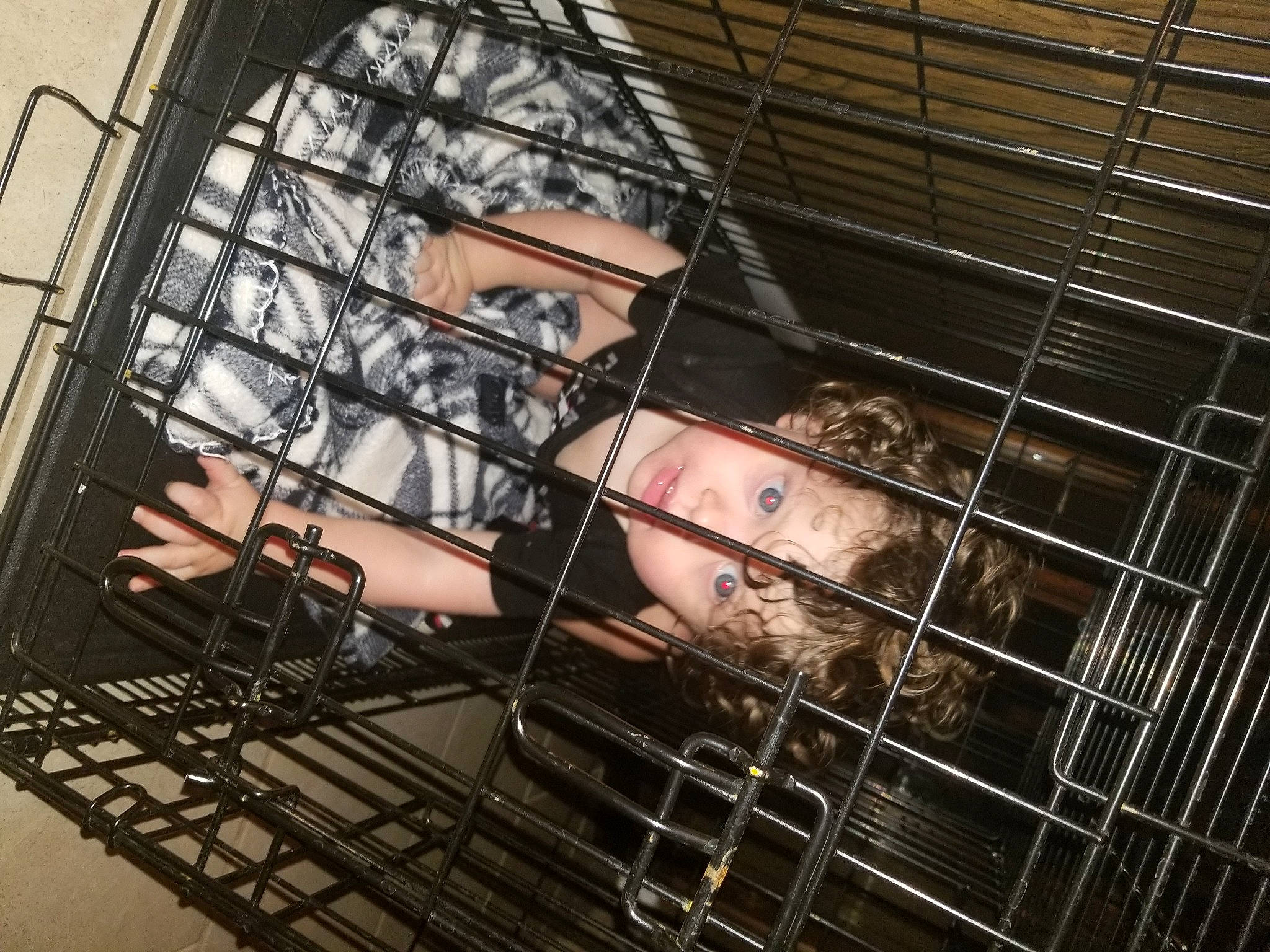 Leviathan joined the competition — help win amazing prizes! animal_shelter, cage, muridae, person, pet_supply