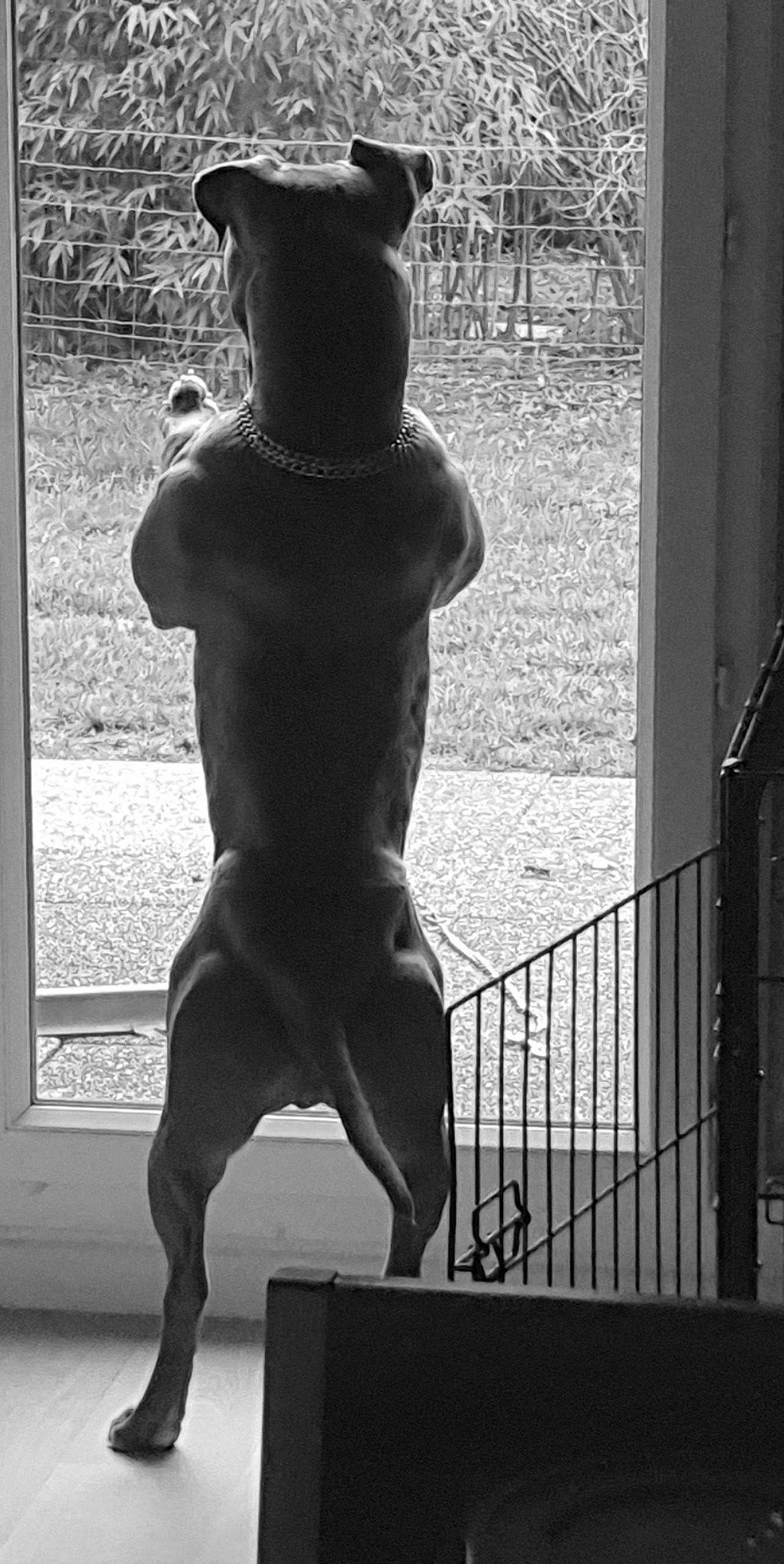 Onix a rejoint le concours — aidez-le/la à gagner de superbes lots ! abdomen, art, barechested, black_and_white, chest, hip, human_body, leg, monochrome, monochrome_photography, monument, muscle, photography, sculpture, standing, statue, stock_photography, style, trunk