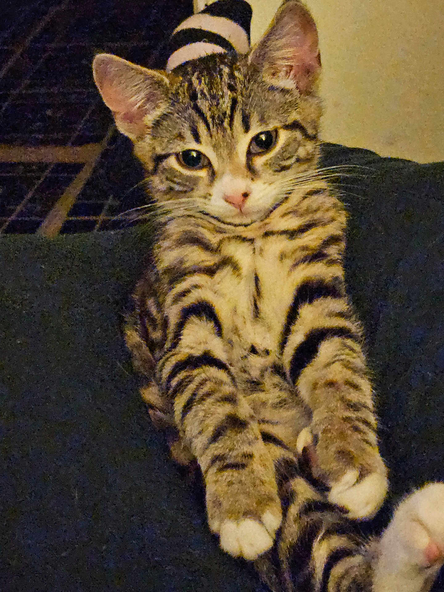 Tom
