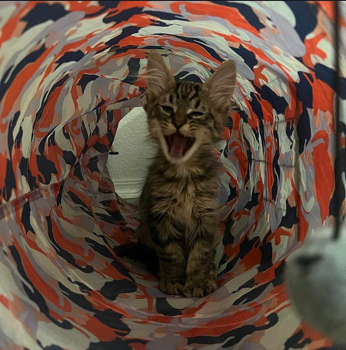 Rocket