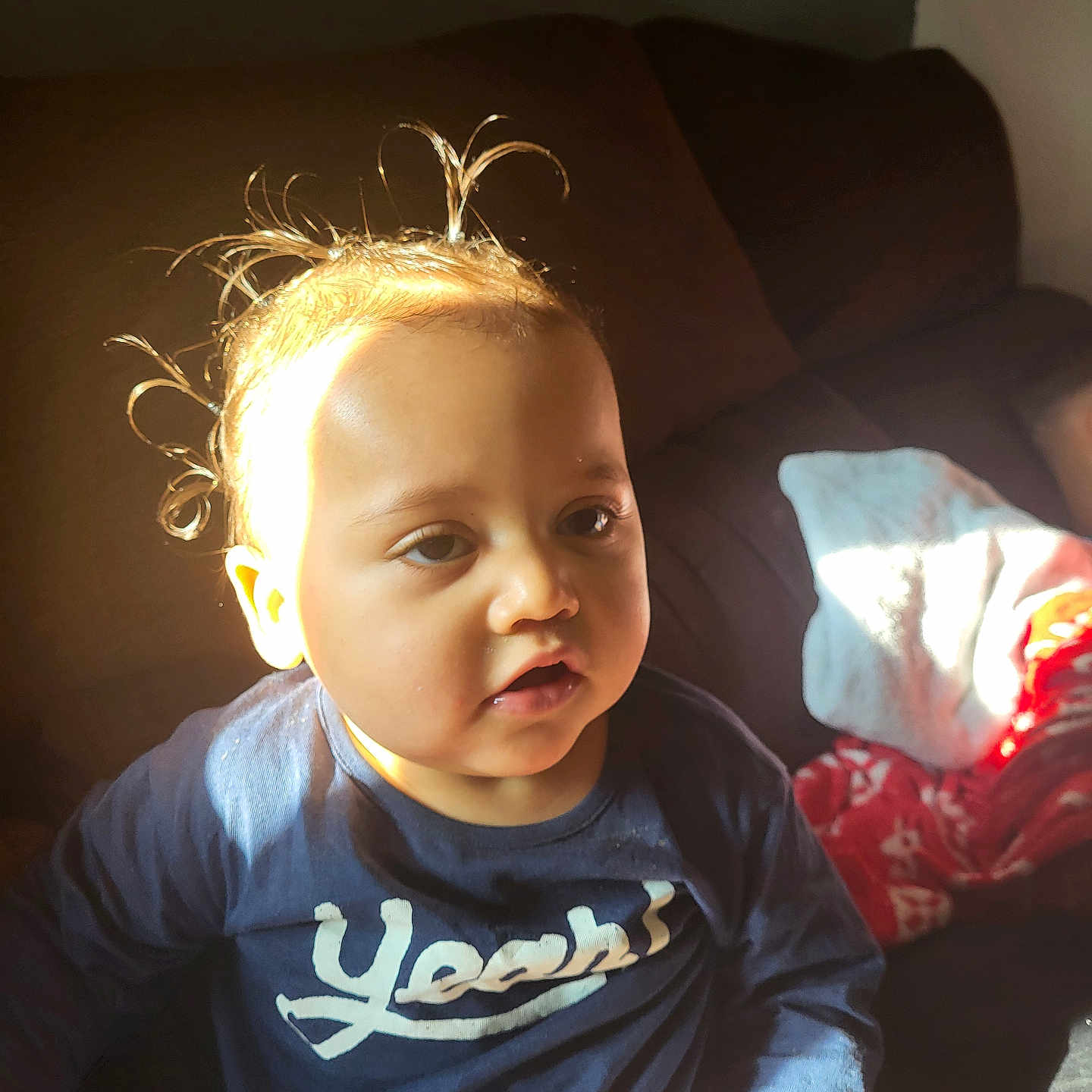 Tyliano participe au concours pour gagner de l'argent avec cette photo : blanket, blue_shirt, casual, child, clothing, couch, cozy, curious, expression, face, hair, home, indoor, person, portrait, sitting, sunlight, toddler, warm_light, young_child