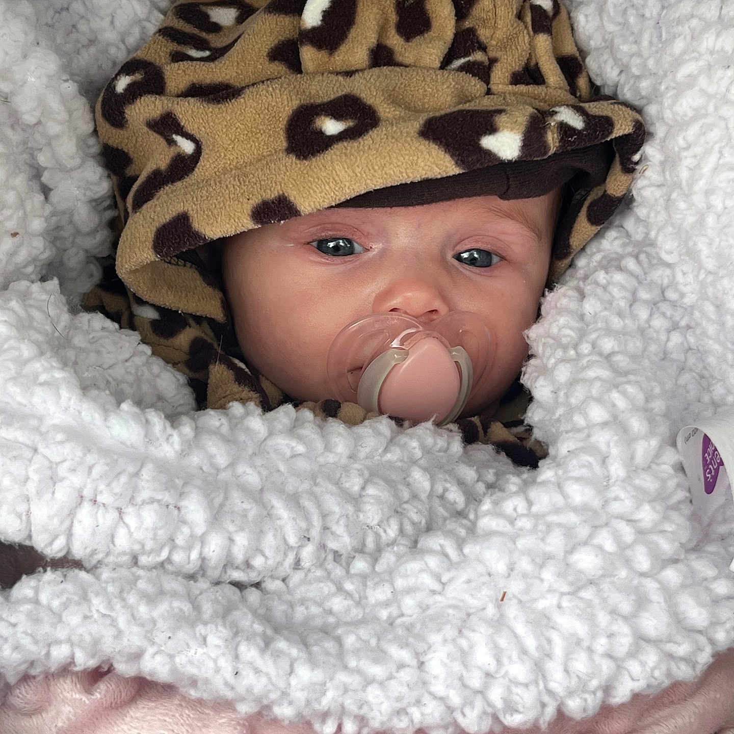 Saralynn joined the competition — help win amazing prizes! baby, blanket, child, closeup, clothing, cozy, cute, eyes, face, hood, infant, leopard_print, pacifier, pink, portrait, sleepy, soft_texture, warm, white, wrapped