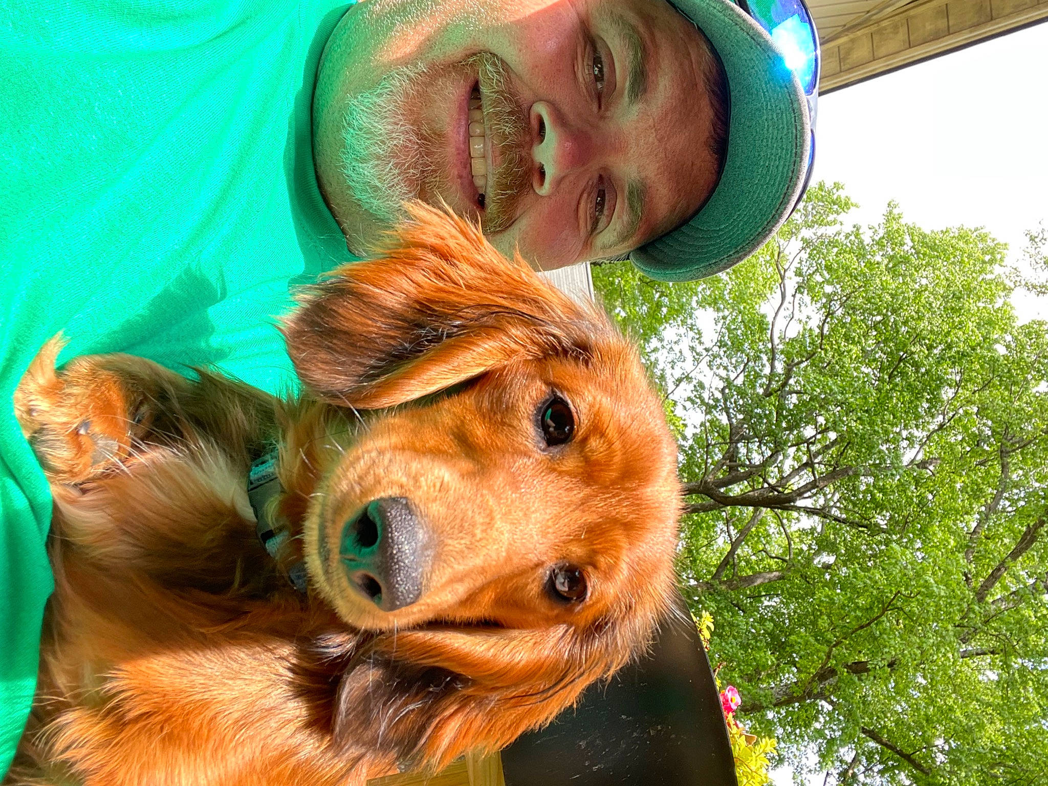 Tucker joined the competition — help win amazing prizes! cap, carnivore, companion_dog, dog, dog_breed, eye, fawn, fur, green, happy, hat, leisure, liver, smile, snout, sporting_group, sun_hat, tree, working_animal, wrinkle