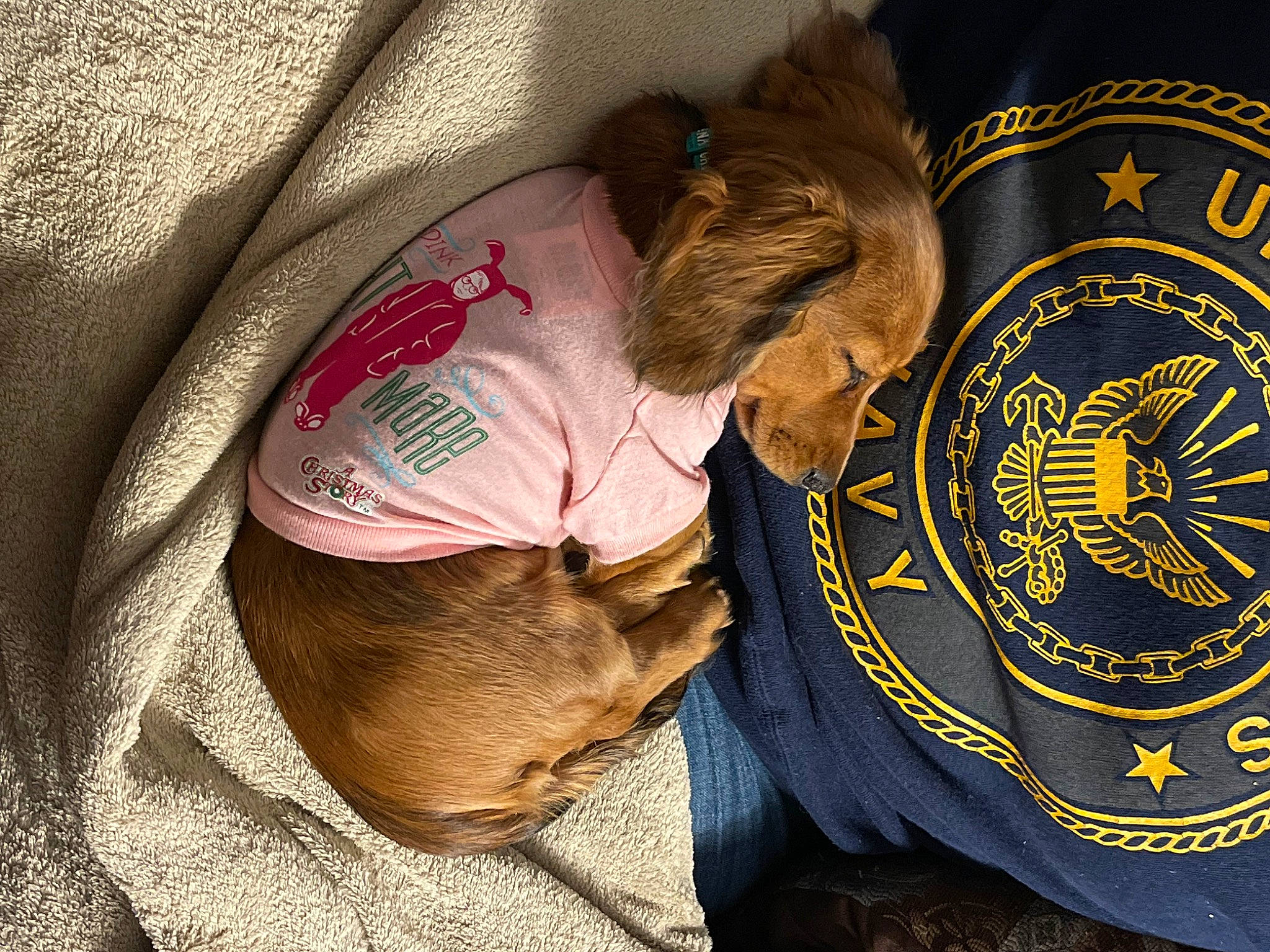 Ruby Sue joined the competition — help win amazing prizes! baseball_cap, cap, child, comfort, electric_blue, fashion_accessory, government_agency, logo, magenta, official, outerwear, sleeve, uniform, wrinkle