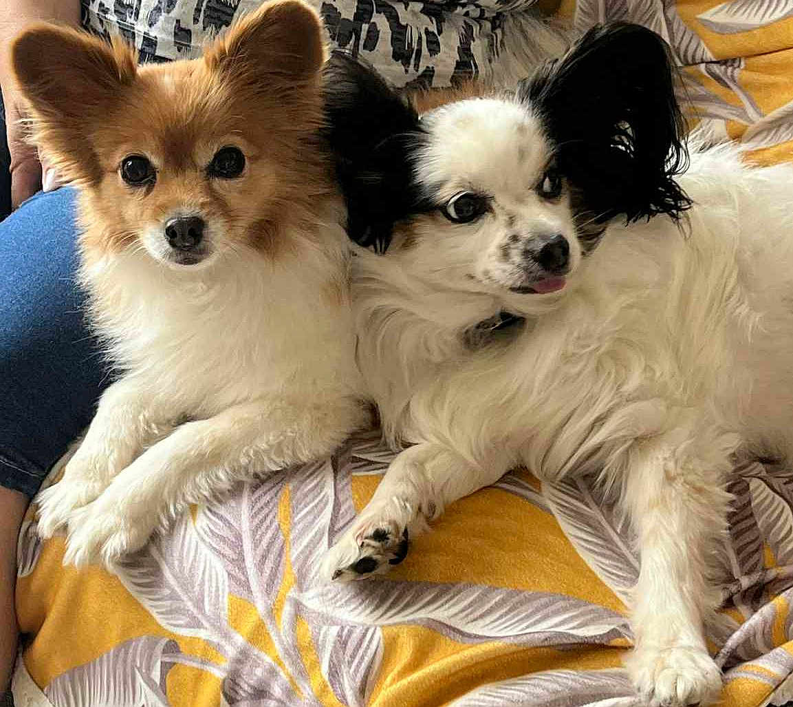 Izzy Et Loukoume