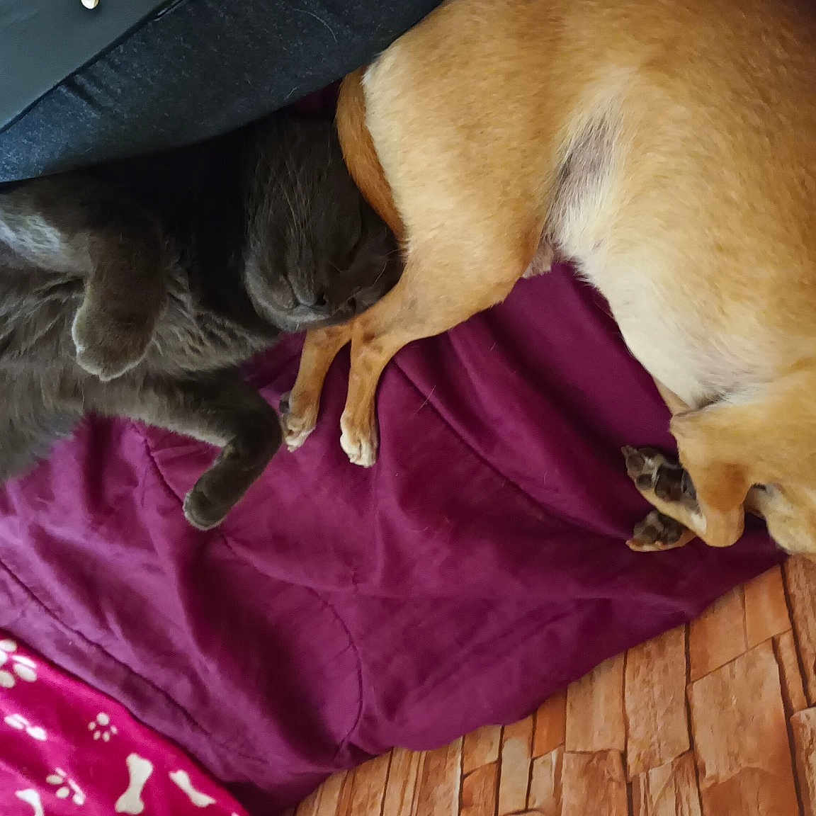Gucci Et Izi