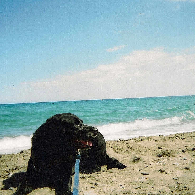 Max