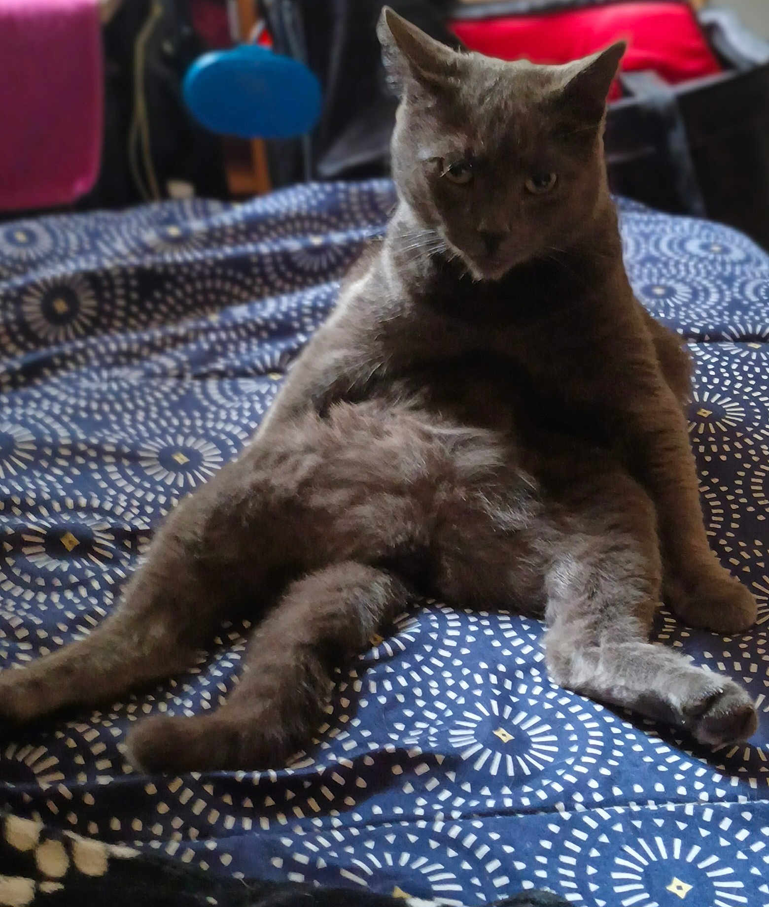 Izi