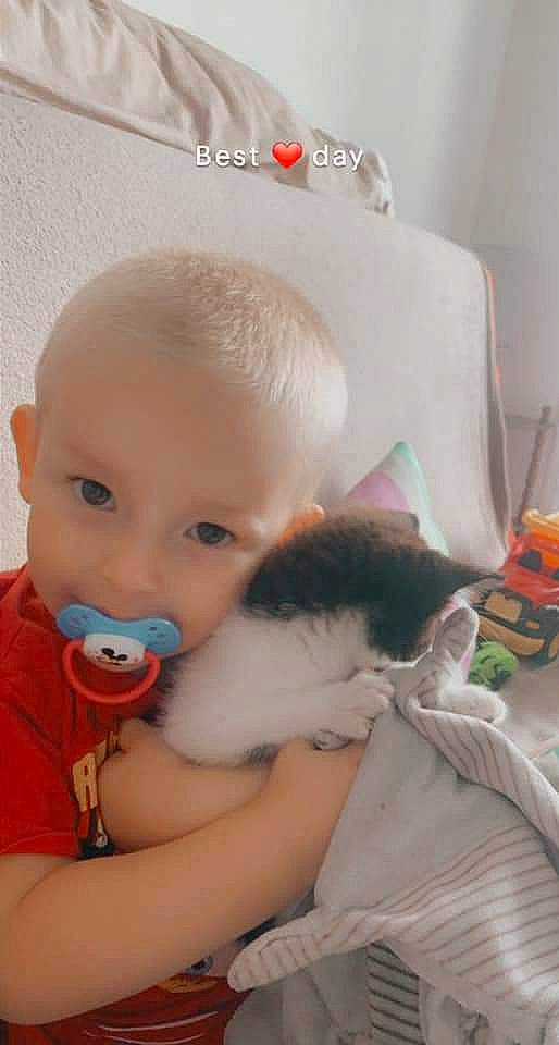 Marvin participe au concours pour gagner de l'argent avec cette photo : arm, baby, baby_toddler_clothing, cheek, child, comfort, companion_dog, felidae, fun, fur, happy, hug, neck, nose, person, room, sitting, skin, stuffed_toy, t_shirt