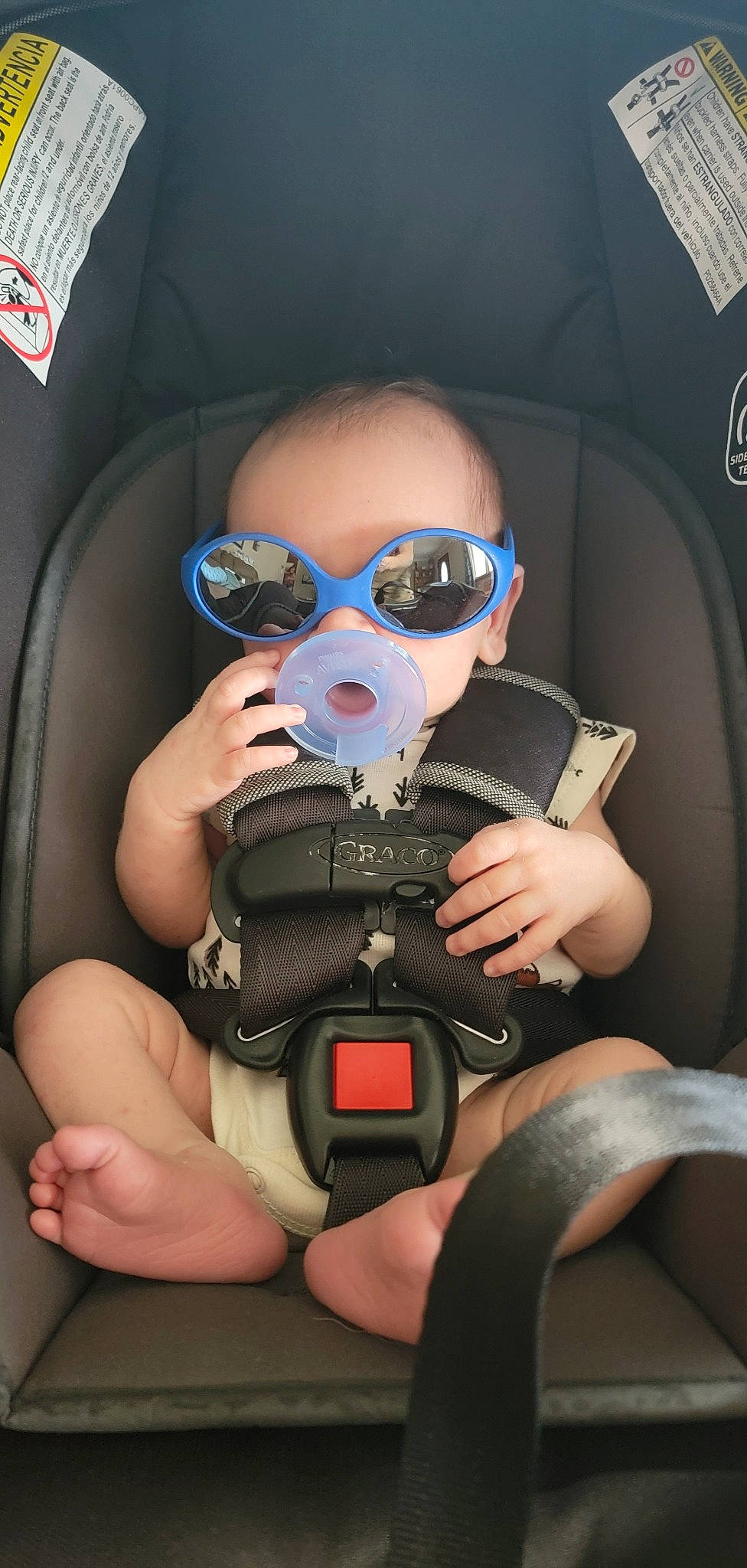 Chase joined the competition — help win amazing prizes! auto_part, automotive_design, baby, car_seat, child, cool, electric_blue, eyewear, finger, flash_photography, fun, goggles, person, personal_protective_equipment, recreation, service, sports_gear, sunglasses, thigh, toddler