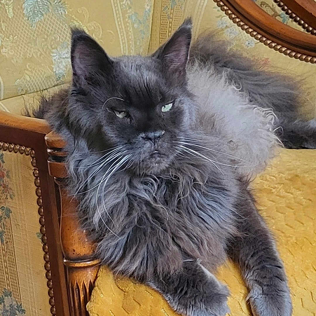 Juliano
