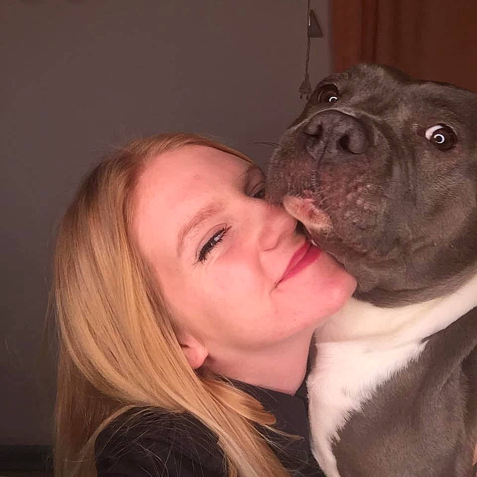 Mara a rejoint le concours — aidez-le/la à gagner de superbes lots ! american_pit_bull_terrier, canidae, carnivore, cheek, dog, dog_breed, ear, eye, face, fawn, head, mammal, mouth, neck, nose, pit_bull, puppy_love, skin, snout, vertebrate