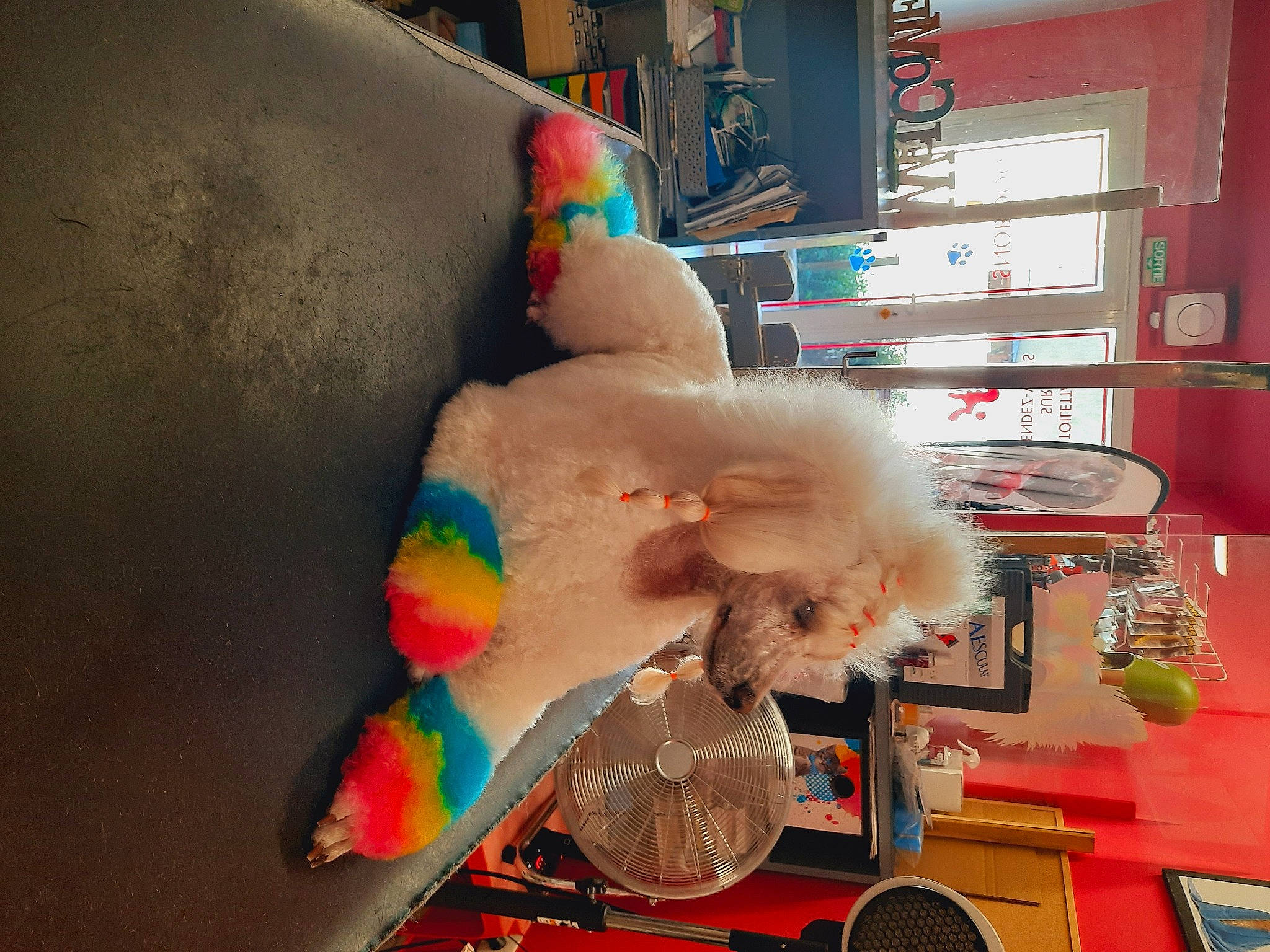 Riqclès a rejoint le concours — aidez-le/la à gagner de superbes lots ! art, collection, event, fur, party_supply, plastic, plush, room, shelving, stuffed_toy, tail, toy