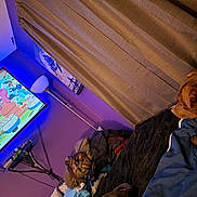 Mary joined the competition — help win amazing prizes! dog, sleeping, bed, bedroom, blanket, curtains, television, cartoon, entertainment, indoor, home, cozy, brown_dog, pet, furniture, clothes, floor_lamp, blue_lighting, purple_lighting, relaxed