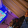 dog, sleeping, bed, bedroom, blanket, curtains, television, cartoon, entertainment, indoor, home, cozy, brown_dog, pet, furniture, clothes, floor_lamp, blue_lighting, purple_lighting, relaxed