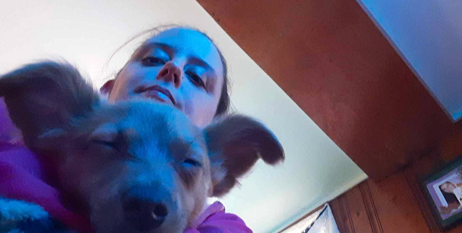 Freya joined the competition — help win amazing prizes! carnivore, companion_dog, dog, dog_breed, ear, electric_blue, fawn, fun, fur, gesture, happy, jaw, magenta, nose, paw, photo_caption, puppy_love, selfie, toy_dog, whiskers