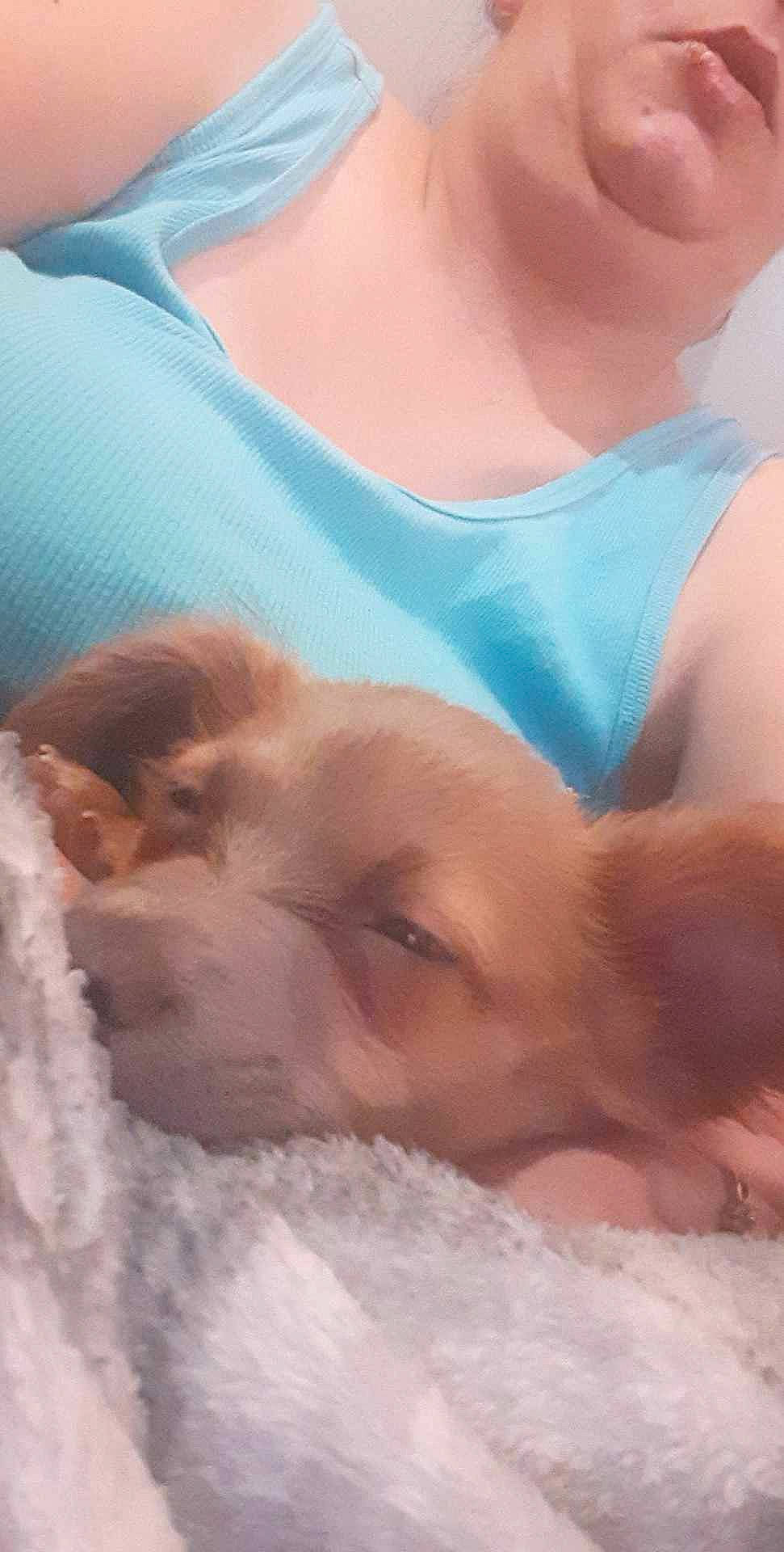 Freya is registered to the contest to win money with this photo: abdomen, barechested, canidae, chest, child, comfort, companion_dog, dog_breed, fawn, flesh, fun, fur, hat, jaw, linens, mouth, sand, skin, sporting_group, vacation