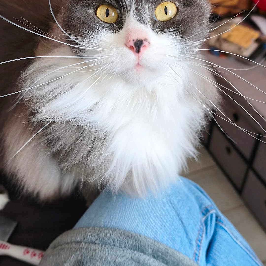 Einstein