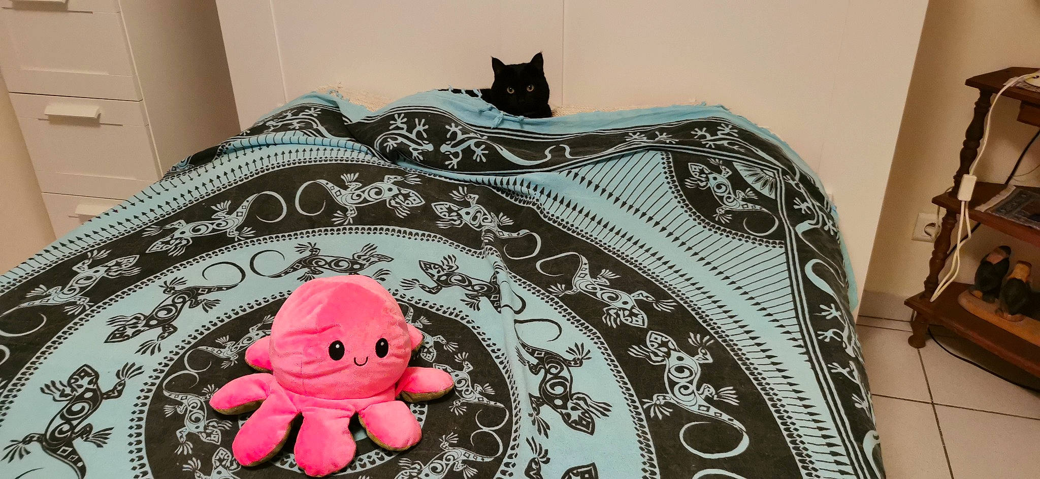 Milka participe au concours pour gagner de l'argent avec cette photo : art, bag, black, carmine, cat, cephalopod, fashion_accessory, flooring, font, linens, luggage_and_bags, magenta, motif, pattern, sleeve, stuffed_toy, textile, toy, visual_arts, white