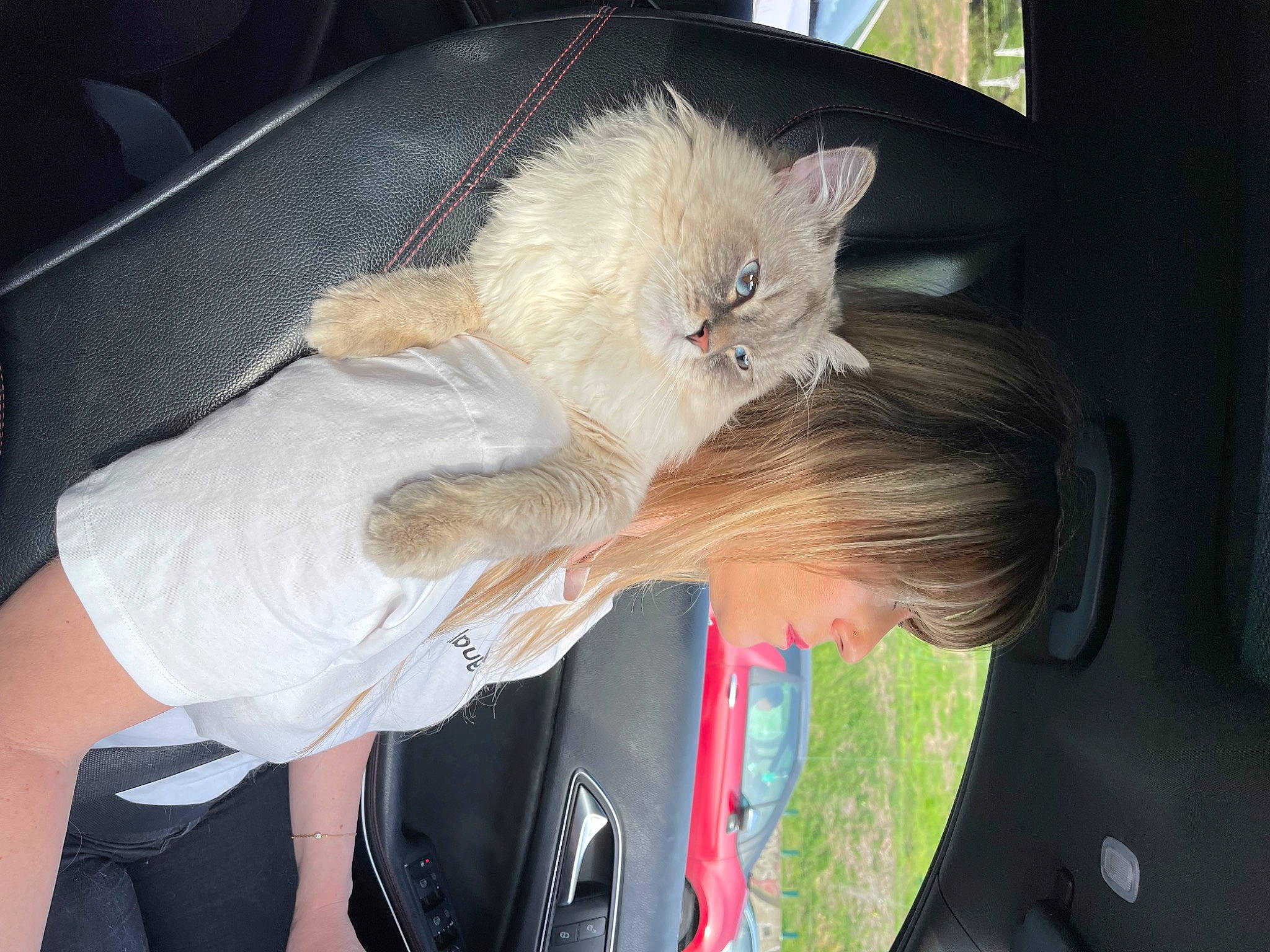 Ti-loup a rejoint le concours — aidez-le/la à gagner de superbes lots ! auto_part, automotive_exterior, car, car_seat, carnivore, cat, child, comfort, companion_dog, family_car, fawn, felidae, fur, gesture, small_to_medium_sized_cats, tree, vehicle, vehicle_door, whiskers, window