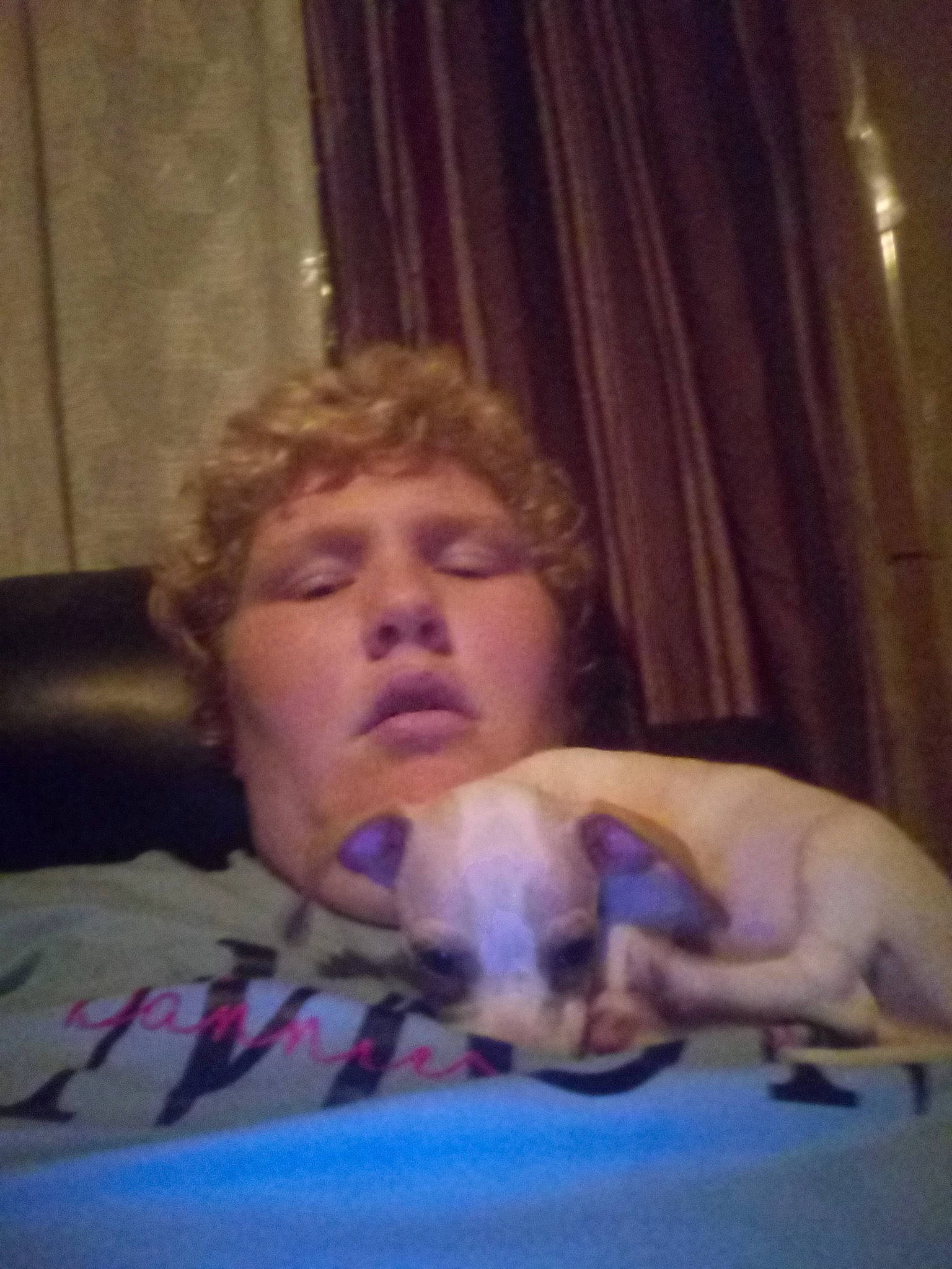 Rally joined the competition — help win amazing prizes! baby, bedtime, canidae, cheek, child, companion_dog, dog_breed, mouth, nose, toddler